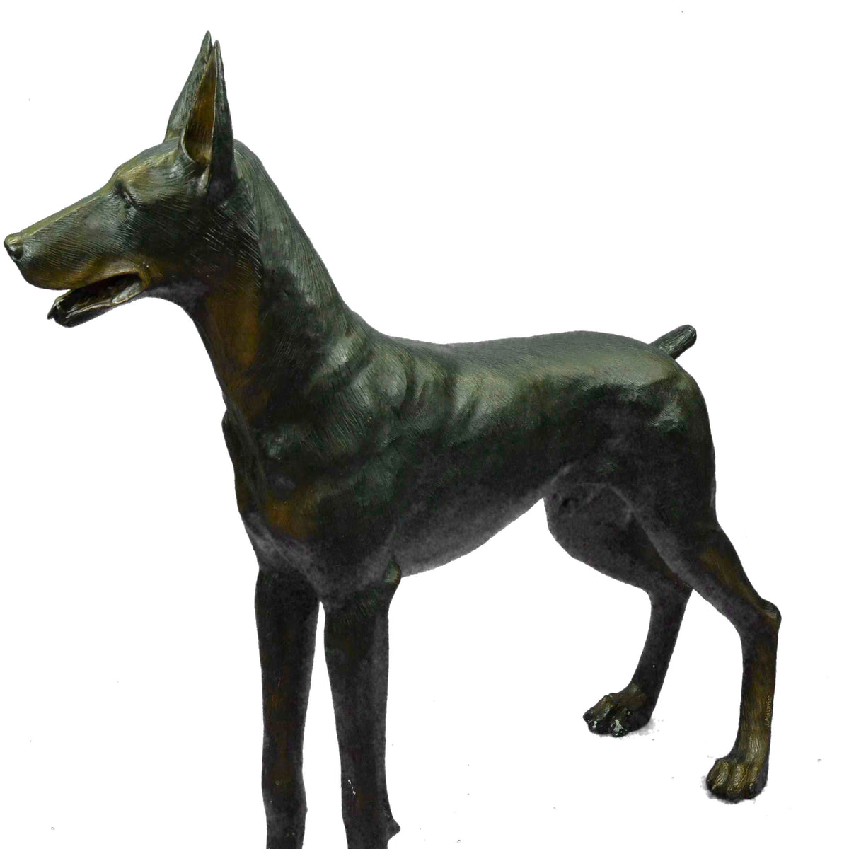 Photo inspiration: Doberman Indoor Outdoor Eating Reference: Life Size Doberman Dog Garden Home Decoration Indoor Outdoor Bronze