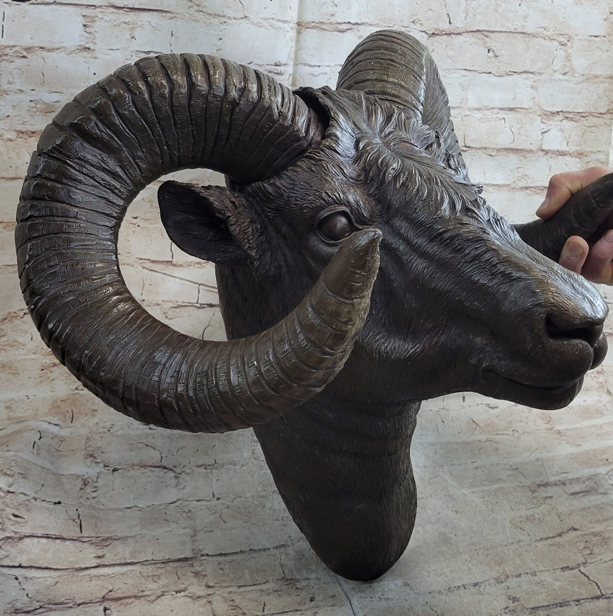 Incredible Detailed Large Wall Mount Rams Head Bronze Sculpture Figuri ...
