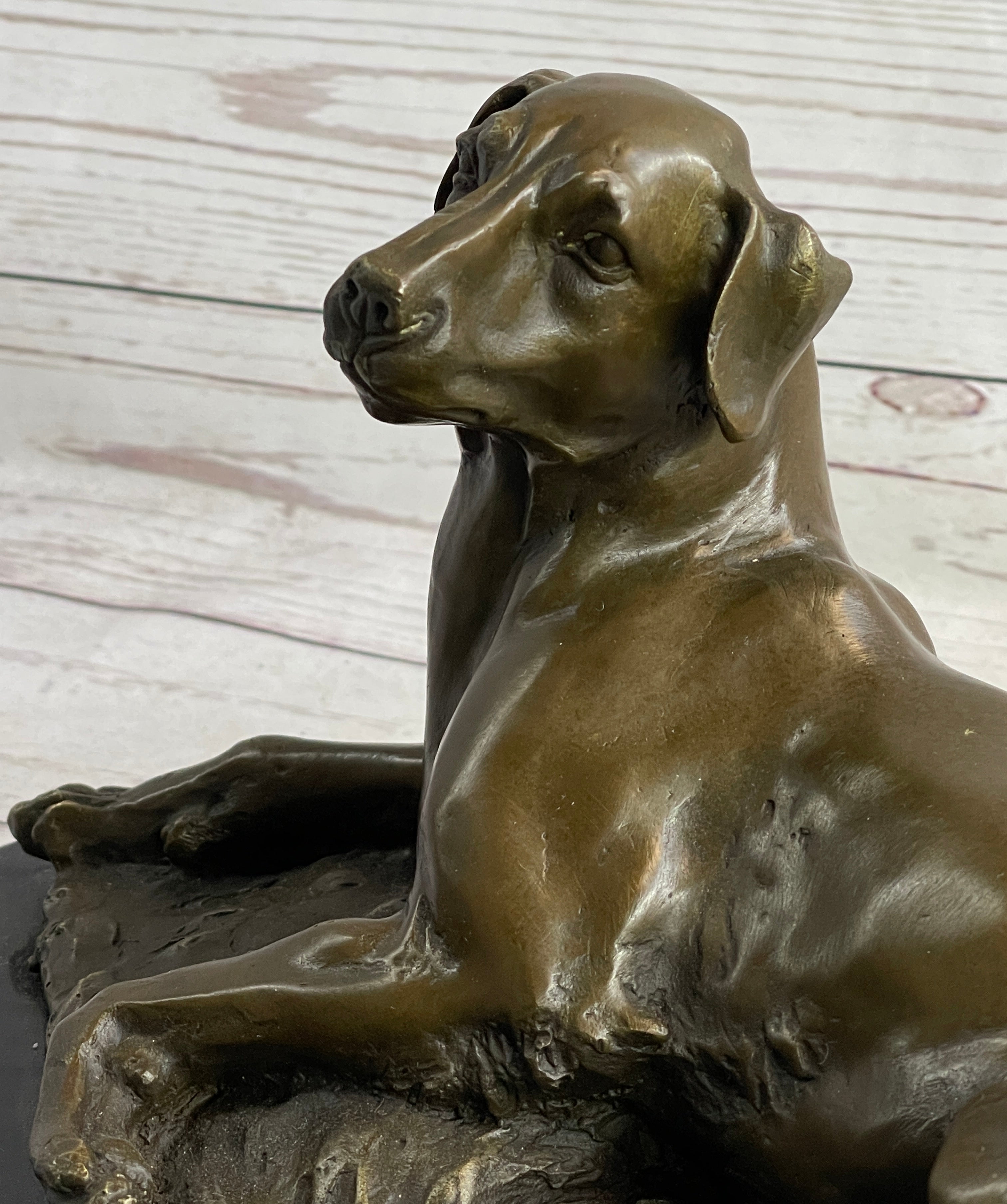 Bronze Dog Statue, 8.6